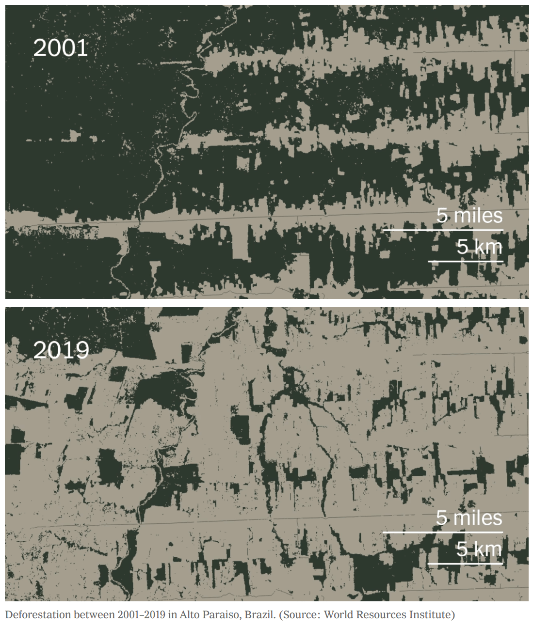 Maps showing the rate of deforestation near a Brazilian town